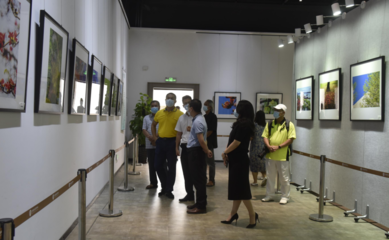 光影定格！春暖花開 大美沙田攝影作品展開幕